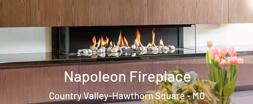 Napoleon Fireplace Country Valley-Hawthorn Square - MO