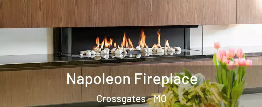 Napoleon Fireplace Crossgates - MO