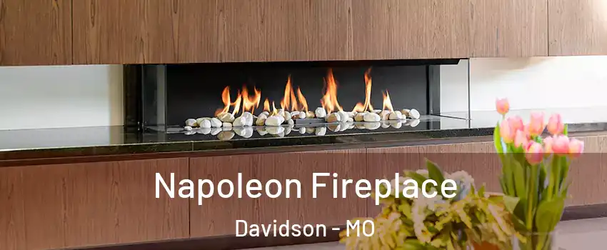 Napoleon Fireplace Davidson - MO