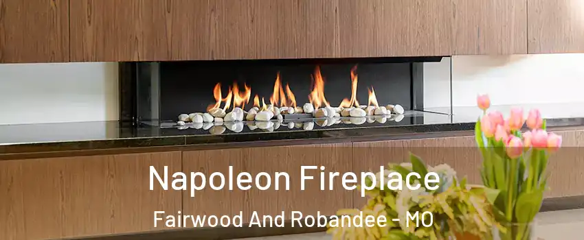 Napoleon Fireplace Fairwood And Robandee - MO