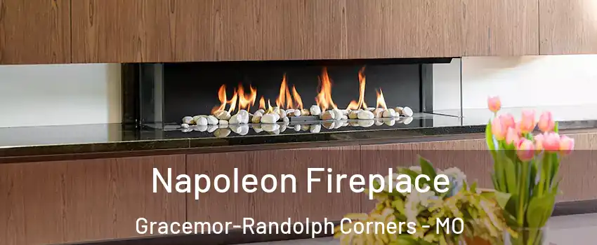 Napoleon Fireplace Gracemor-Randolph Corners - MO