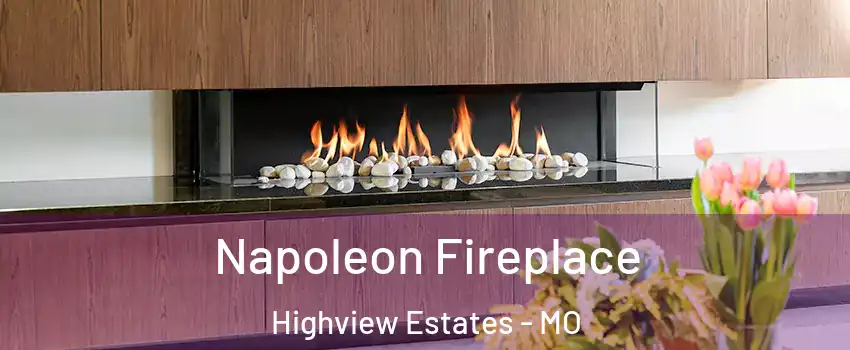 Napoleon Fireplace Highview Estates - MO