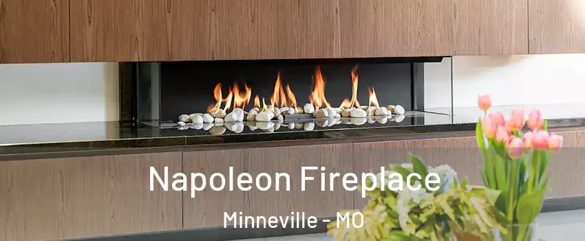 Napoleon Fireplace Minneville - MO