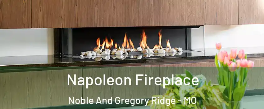 Napoleon Fireplace Noble And Gregory Ridge - MO