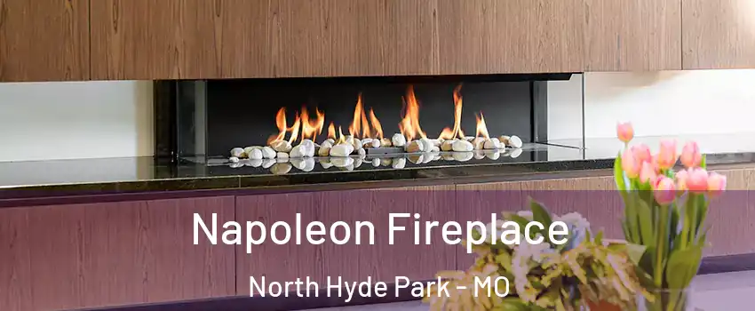 Napoleon Fireplace North Hyde Park - MO