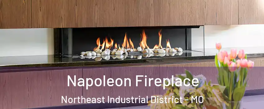 Napoleon Fireplace Northeast Industrial District - MO