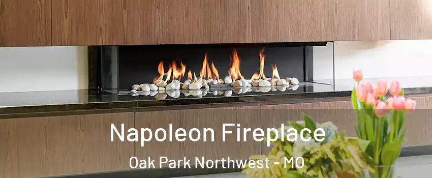 Napoleon Fireplace Oak Park Northwest - MO