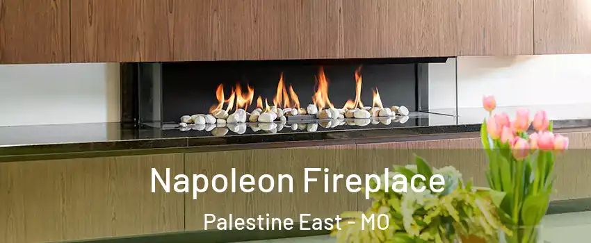 Napoleon Fireplace Palestine East - MO