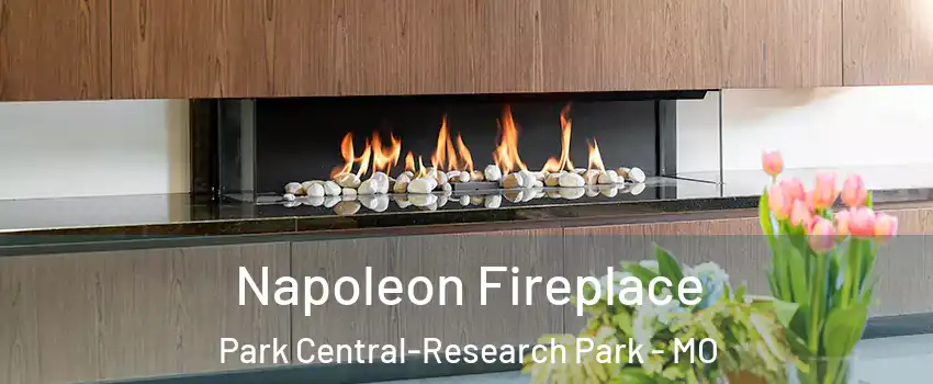 Napoleon Fireplace Park Central-Research Park - MO