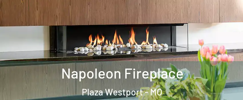 Napoleon Fireplace Plaza Westport - MO