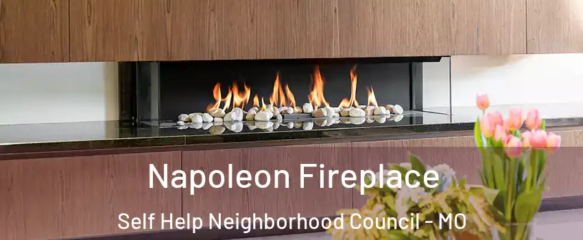 Napoleon Fireplace Self Help Neighborhood Council - MO