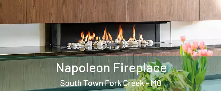 Napoleon Fireplace South Town Fork Creek - MO