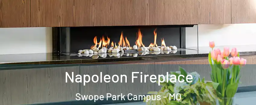 Napoleon Fireplace Swope Park Campus - MO