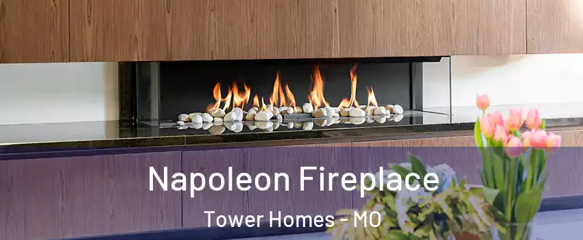 Napoleon Fireplace Tower Homes - MO