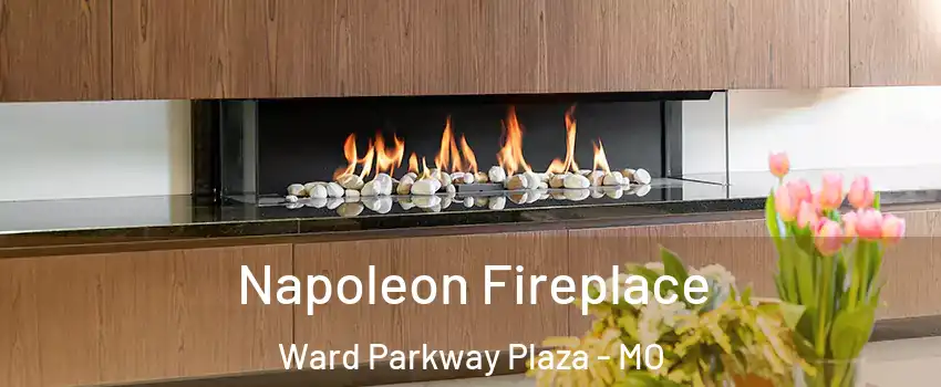 Napoleon Fireplace Ward Parkway Plaza - MO