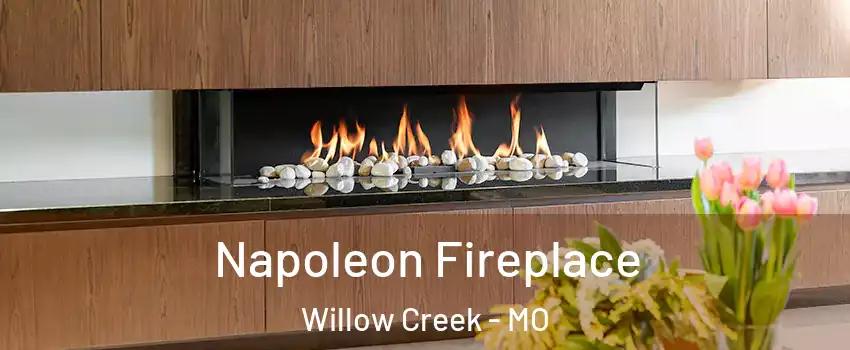 Napoleon Fireplace Willow Creek - MO