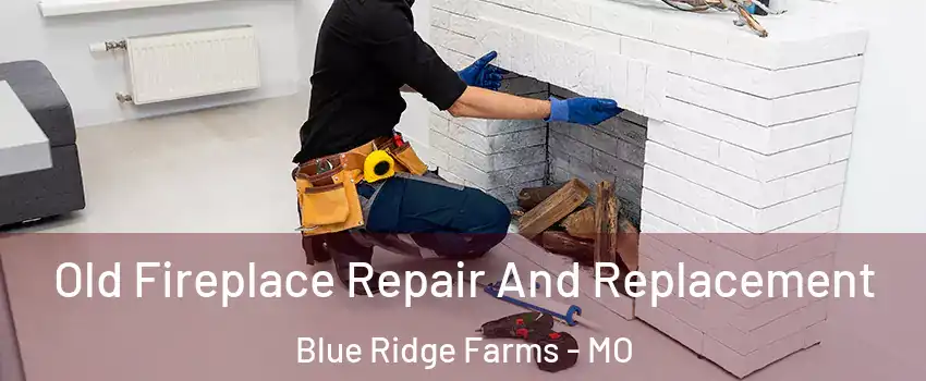 Old Fireplace Repair And Replacement Blue Ridge Farms - MO