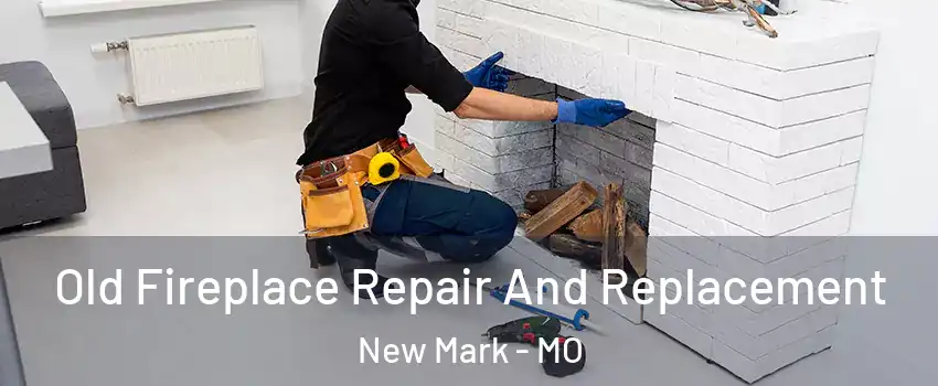 Old Fireplace Repair And Replacement New Mark - MO