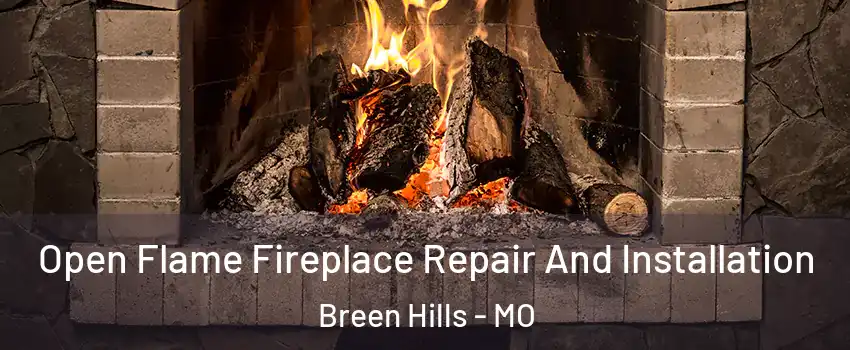 Open Flame Fireplace Repair And Installation Breen Hills - MO