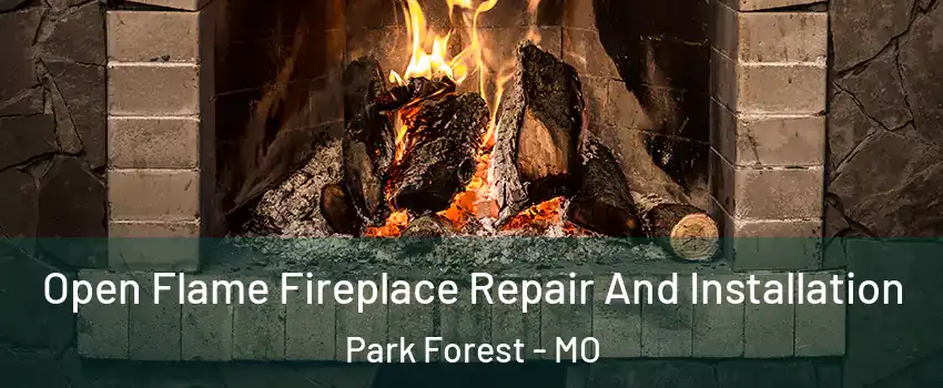 Open Flame Fireplace Repair And Installation Park Forest - MO