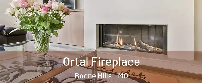 Ortal Fireplace Boone Hills - MO