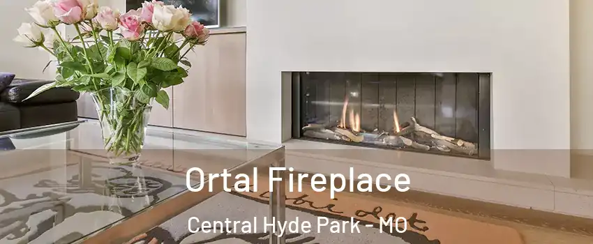 Ortal Fireplace Central Hyde Park - MO