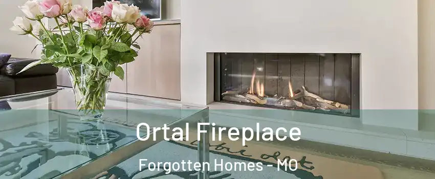 Ortal Fireplace Forgotten Homes - MO