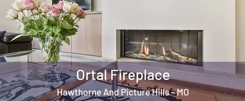 Ortal Fireplace Hawthorne And Picture Hills - MO