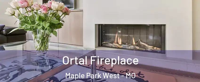 Ortal Fireplace Maple Park West - MO