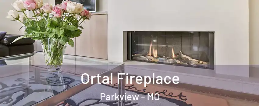 Ortal Fireplace Parkview - MO