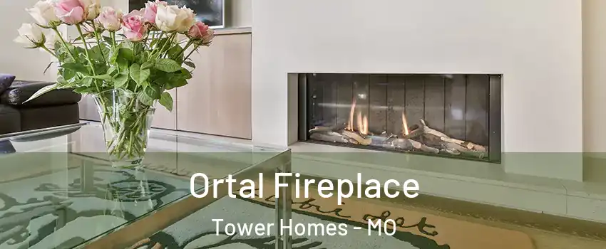 Ortal Fireplace Tower Homes - MO