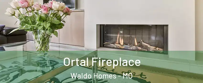 Ortal Fireplace Waldo Homes - MO