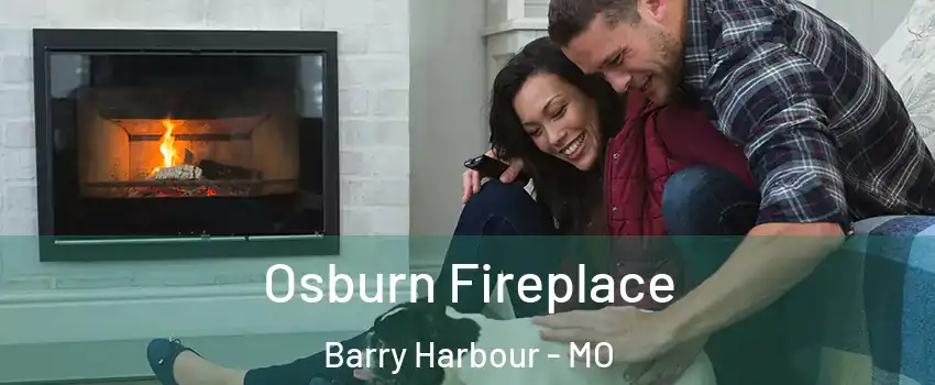 Osburn Fireplace Barry Harbour - MO