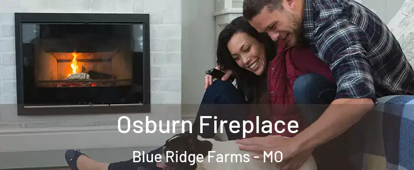 Osburn Fireplace Blue Ridge Farms - MO