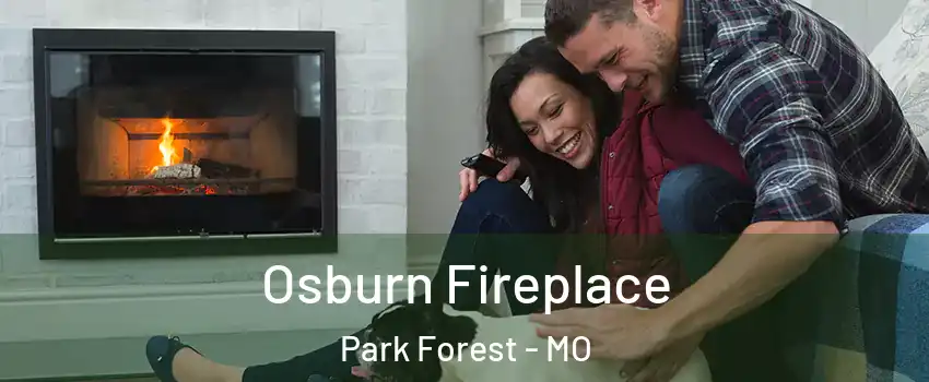 Osburn Fireplace Park Forest - MO