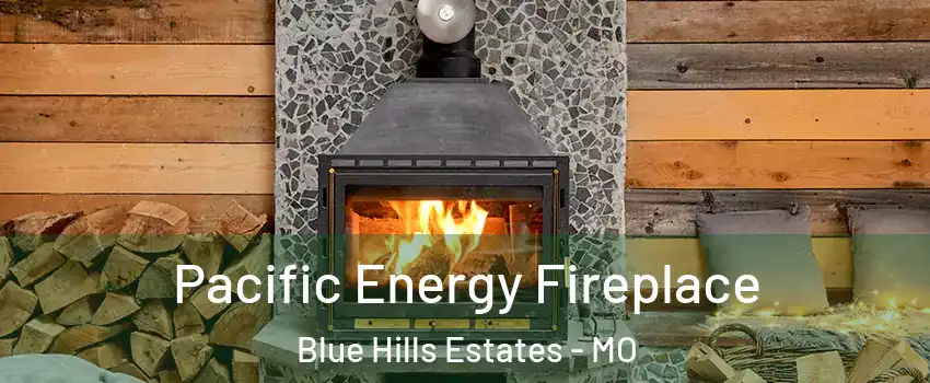 Pacific Energy Fireplace Blue Hills Estates - MO