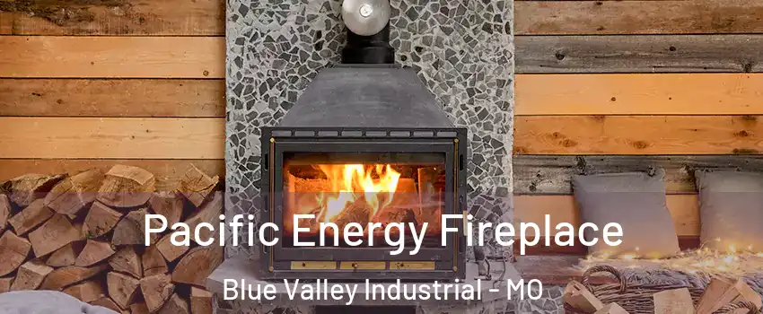 Pacific Energy Fireplace Blue Valley Industrial - MO