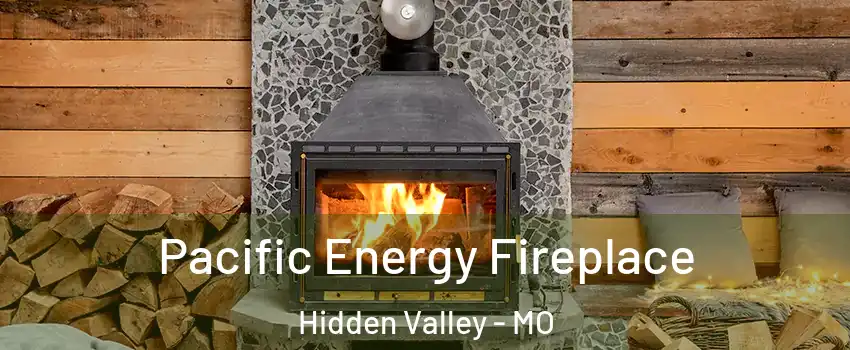 Pacific Energy Fireplace Hidden Valley - MO