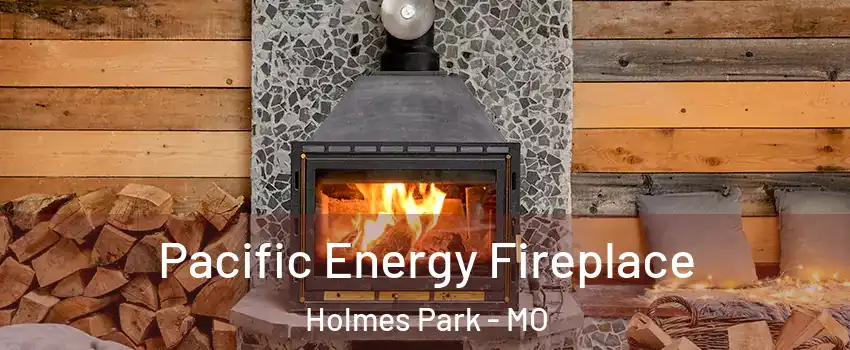 Pacific Energy Fireplace Holmes Park - MO