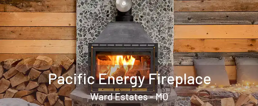 Pacific Energy Fireplace Ward Estates - MO