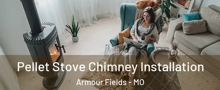 Pellet Stove Chimney Installation Armour Fields - MO