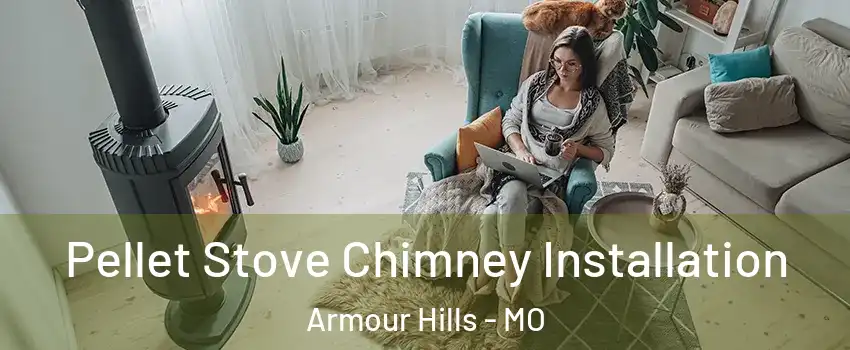 Pellet Stove Chimney Installation Armour Hills - MO