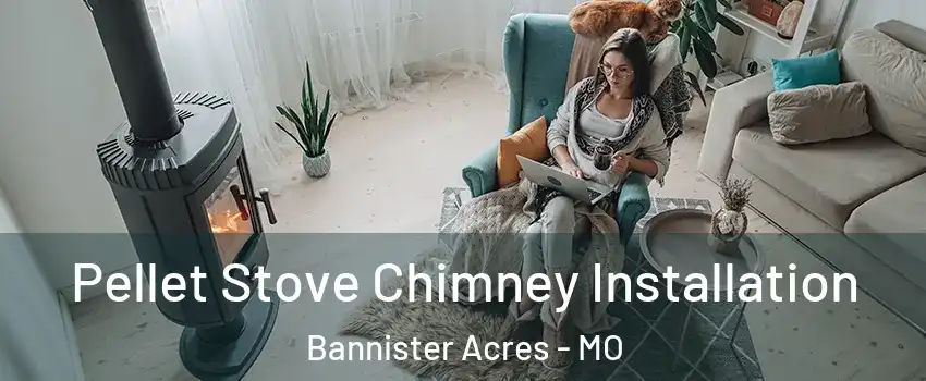 Pellet Stove Chimney Installation Bannister Acres - MO