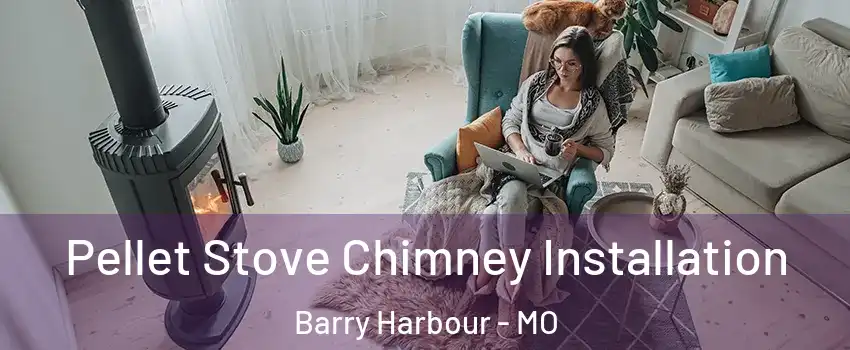 Pellet Stove Chimney Installation Barry Harbour - MO