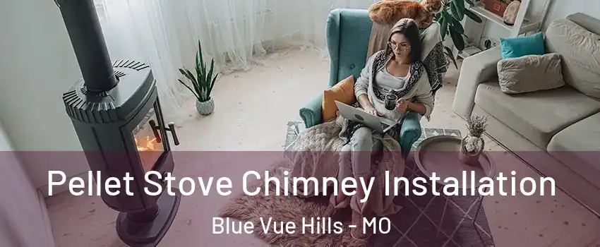 Pellet Stove Chimney Installation Blue Vue Hills - MO