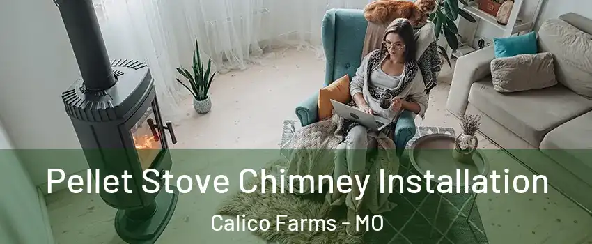 Pellet Stove Chimney Installation Calico Farms - MO