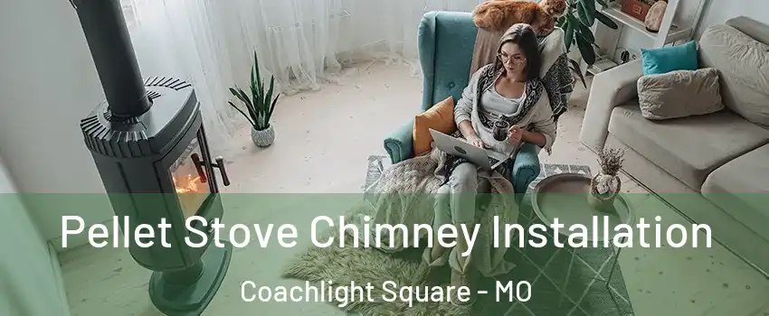 Pellet Stove Chimney Installation Coachlight Square - MO