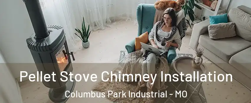 Pellet Stove Chimney Installation Columbus Park Industrial - MO