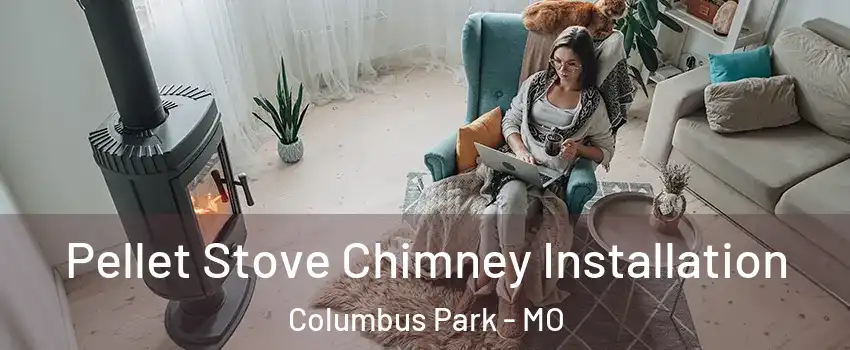 Pellet Stove Chimney Installation Columbus Park - MO