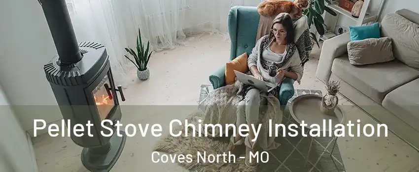 Pellet Stove Chimney Installation Coves North - MO